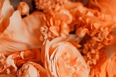 Orange Wedding Color Schemes: A Guide for Couples Who Love Colour